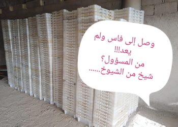 تجار السمك بفاس يشنون حملة على شيوخ الفتنة في تجارة السمك