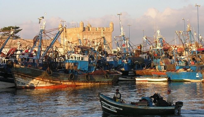 مهنيو الصيد بالجر بميناء الصويرة يهنؤون كمال صبري على كسب الثقة