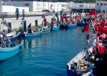 المقاربة الاجتماعية في قلب اهتمام غرفة الصيد البحري بطنجة