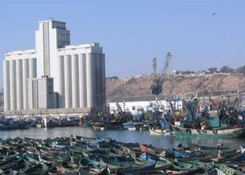 مهنيو الصيد بالجر باسفي يهنؤون يوسف بنجلون