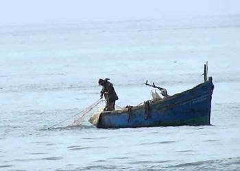 مفاجأة انتخابات غرفة الصيد البحري الاطلسية الوسطى بأكادير