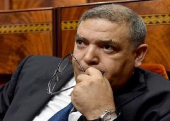 اخطبوط الداخلة و الأربع و الأربعين حرامي
