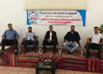 ربابنة صيد السمك السطحي ينتخبون مكتبا مسيرا