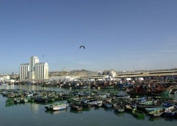 فعاليات الصيد البحري باسفي تدعو لانقاذ هيئة انقاذ الأوراح البشرية