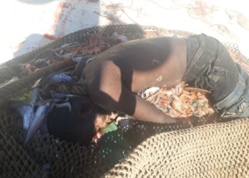 الناظور: مسلسل انتشال الجثث يؤرق بال ربابنة مراكب الصيد بالجر