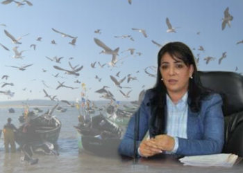 طنجة: في ظل الوضع المزري للميناء الجديد مهنيو الصيد التقليدي يهددون بالرسو بمارينا