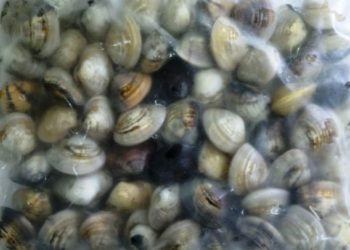 درك الداخلة يتحرك لمحاربة التهريب