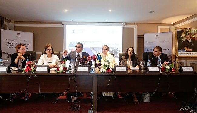 أخنوش يستعرض مشاريع تربية الاحياء البحرية بسوس