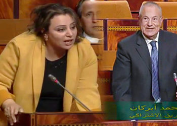 ما هكذا تورد الابل يا نواب البرلمان،