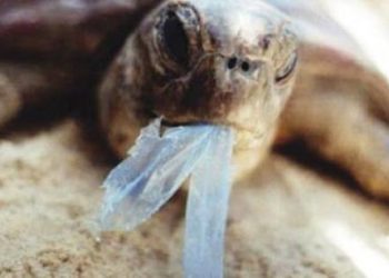 البرلمان الأوروبي يصوت لصالح حظر مواد بلاستيكية