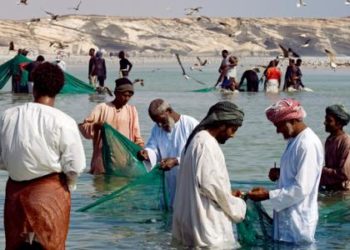 سلطنة عمان تطلق استراتيجية وطنية لتطوير قطاع الصيد البحري