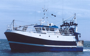 مراحل صيد السمك