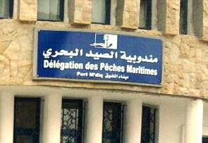 وقفة احتجاجية لموظفي مندوبية الصيد البحري بالمضيق-فيديو-