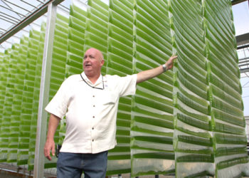 انتاج الفيول الطبيعي من الطحالب-فيديو-