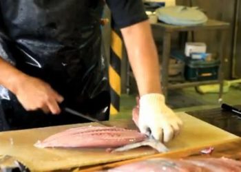 مدهش:طريقة اعداد سمكة التونة على الطريقة اليابانية غاية في الاتقان