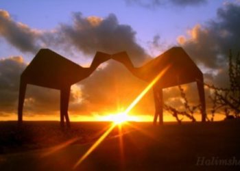 Maroc que j’aime 2012 – طانطان/ الوطية