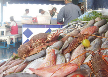 تناقص مخزون السمك بالمغرب