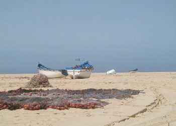 برنامج حديث المدينة:   واقع الصيد بالداخلة