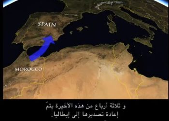 الشباك الجيبية العائمة المنجرفة