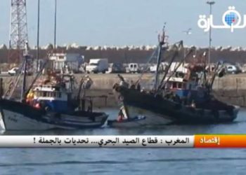 المغرب – قطاع الصيد البحري تحديات بالجملة
