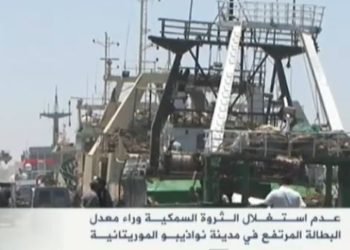 عدم استغلال الثروة البحرية في موريتانيا سبب للبطالة