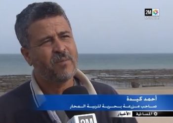 مزرعة لتربية المحار بالداخلة