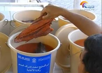 المالح،تقنية تقليدية لحفظ السمك  في الخليج العربي