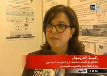الحفاظ على الثديات االبحرية بالسواحل المغربية