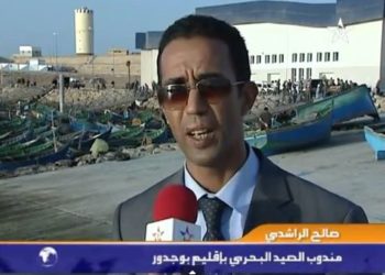 إنطلاق عملية صيد الأخطبوط