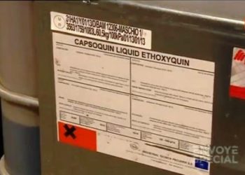 Envoyé spécial France 2 – 7 nov 2013 Elevage en Eaux Troubles