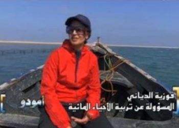 تربية المحار ببحيرة النعيلة