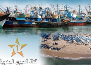 حديث المدينة : واقع الصيد البحري بالداخلة