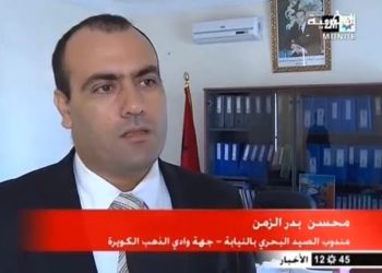 راحة بيولوجية للصيد الأخطبوط