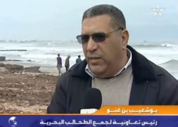 حالة نادرة للفظ البحر لطحالب بحرية بالجديدة
