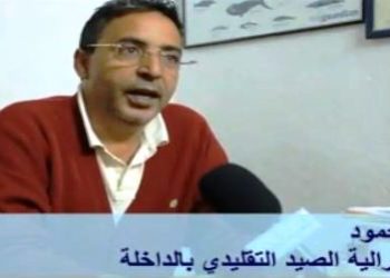 حمية محمود يفضح تدبير المكتب الوطني للصيد بالداخلة