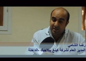 مقاولات ناجحة