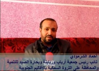 الشرمودي أحماد يتحدث عن التناوب