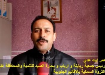 عمر ايت عدي ومبدأ التناوب