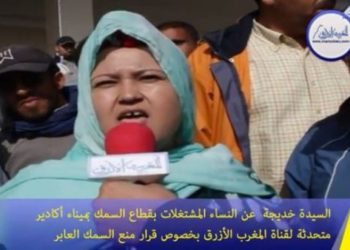 مهنيو القطاع السمكي و تضررهم من قرار منع سمك العبور