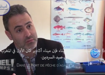 استعدادات غرفة الصيد المتوسطية الوسطى للمشاركة في المعرض الدولي لمنتوجات الصيد البحري ببروكسيل