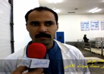 ارتسامات تجار السمك بعد قرار منع سمك العبور بميناء أكادير