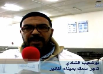 بوشعيب الشادي عن تجار السمك بميناء اكادير بعد منع سمك العبور