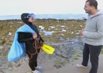 النساء و جمع الطحالب البحرية بشاطئ الجديدة