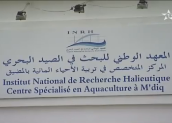 الإستثمار في قطاع تربية الأحياء المائية بالمفرب
