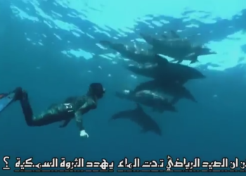 هل تظن أن الصيد الرياضي تحت الماء يضر بالثروة السمكية ؟