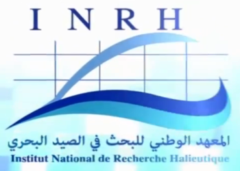المعهد الوطني للبحث في الصيد البحري