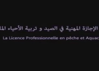 الإجازة المهنية في الصيد و تربية الأحياء المائية