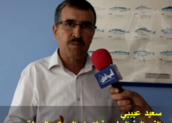 سعيد عبيبي جميع القوانين التي جاءت بها الادارة لتنظيم القطاع ولدت ميتة