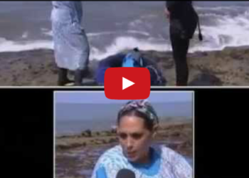 نساء يحترفن الغطس‏