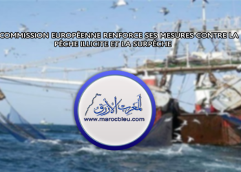 La Commission européenne renforce ses mesures contre la pêche illicite et la surpêche